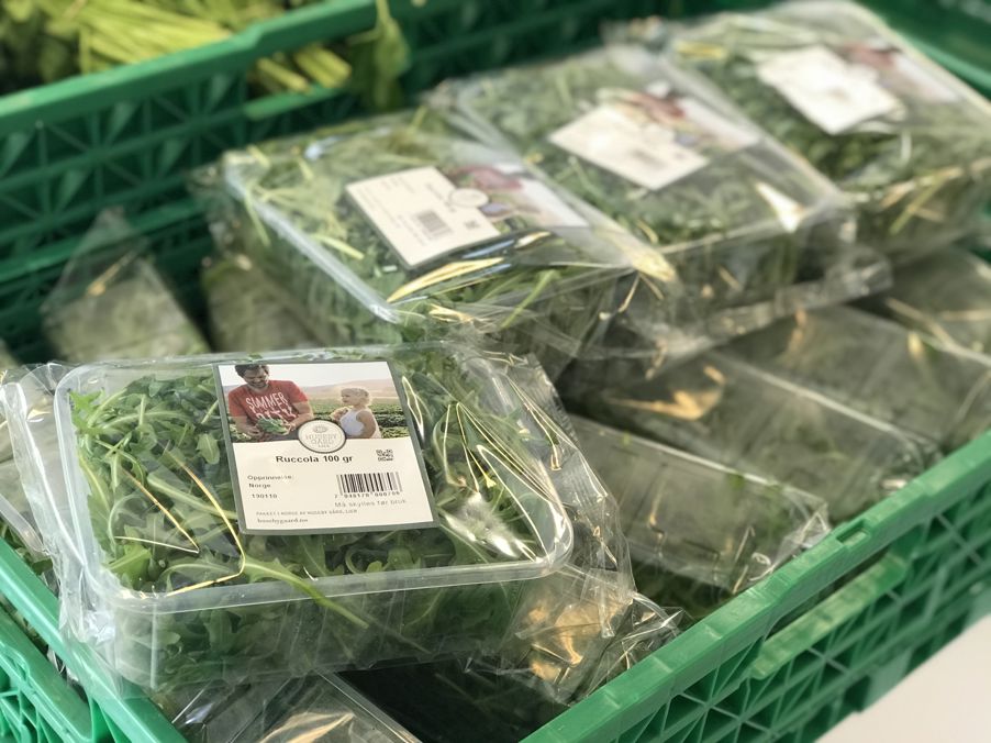 Ruccola er kjempesunt og godt. Det brukes ofte i pizza og salat. Vi har litt ruccola som salat til burgeren.