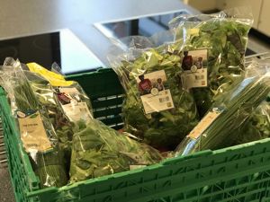 Maten innholder sunne og gode råvarer. Her er bilde av gressløk og salat. Gressløken er i rømmedressingen og salaten blir blandet i pitaen med resten av ingrediensene.