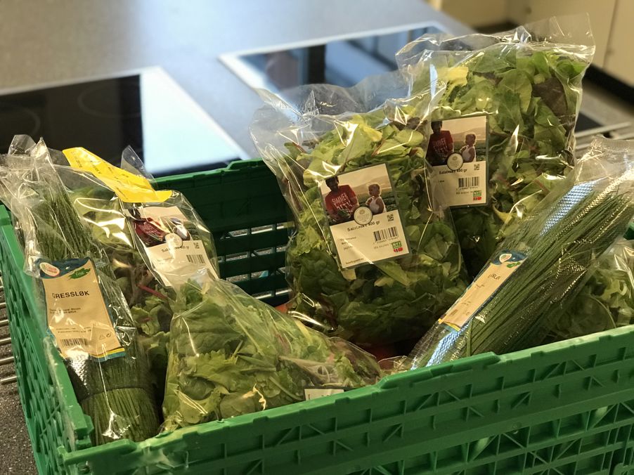 Maten innholder sunne og gode råvarer. Her er bilde av gressløk og salat. Gressløken er i rømmedressingen og salaten blir blandet i pitaen med resten av ingrediensene.