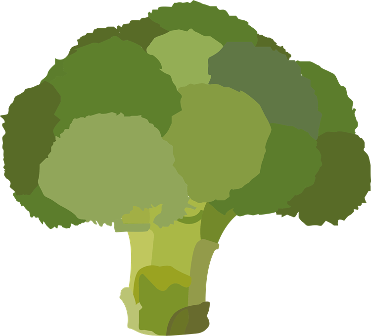 Matjungelen - Broccoli
